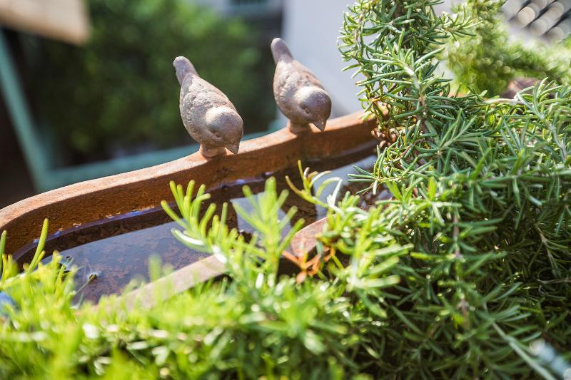 Riad Villa Harmonie Marakéš Exteriér fotografie